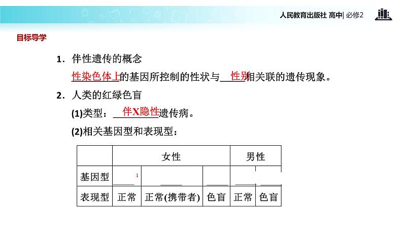 发现式教学【教学课件】《伴性遗传》（人教）03