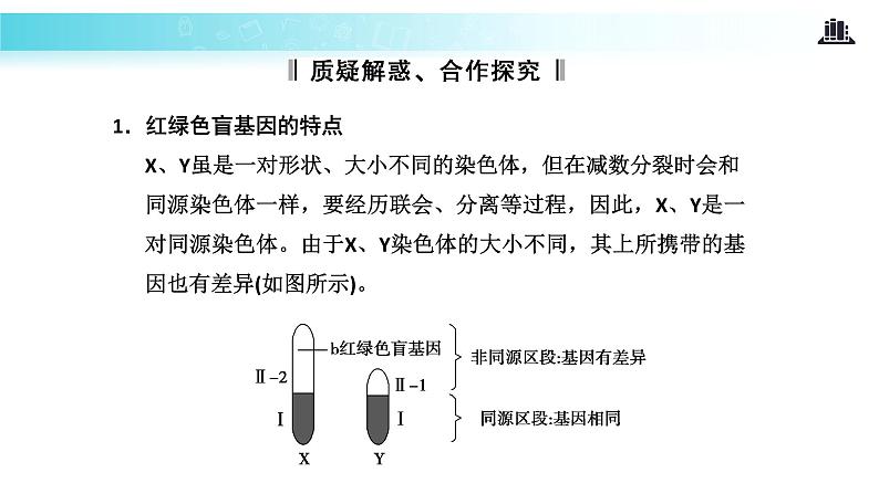 发现式教学【教学课件】《伴性遗传》（人教）05