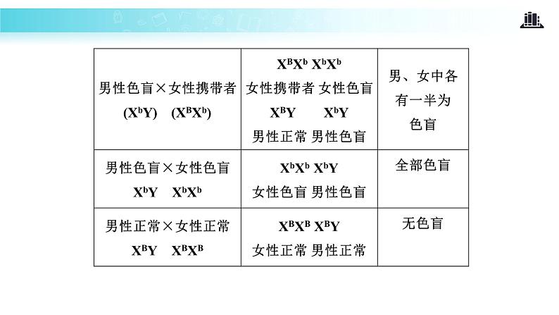 发现式教学【教学课件】《伴性遗传》（人教）07