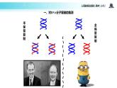 【教學(xué)課件】《DNA的復(fù)制》（人教）