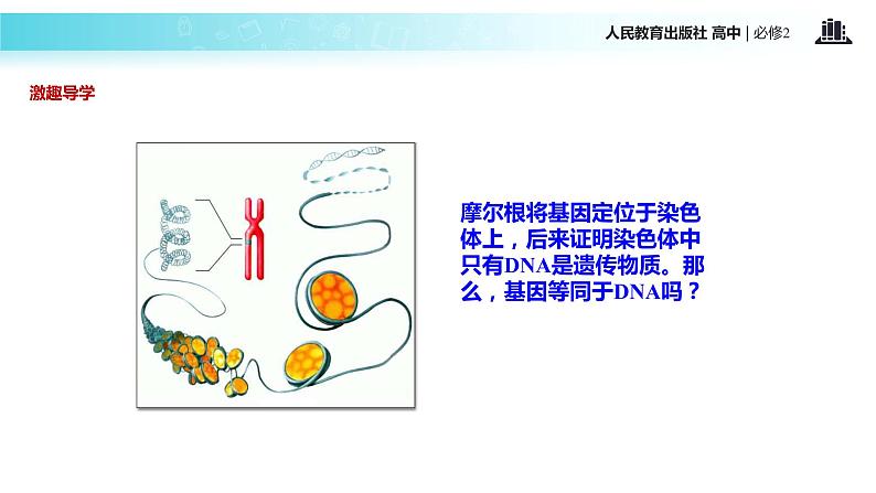 发现式教学【教学课件】《基因是有遗传效应的DNA片段》（人教） (1)02