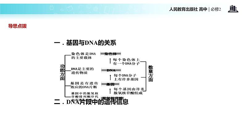 发现式教学【教学课件】《基因是有遗传效应的DNA片段》（人教） (1)05