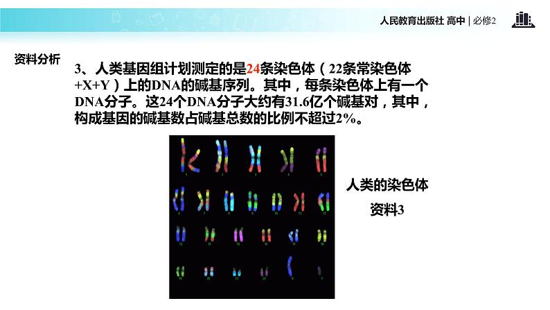 发现式教学【教学课件】《基因是有遗传效应的DNA片段》（人教） (1)07