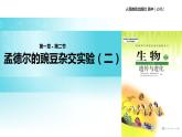发现式教学【教学课件】《孟德尔的豌豆杂交实验（二）》（人教）