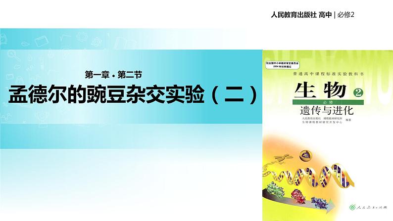 发现式教学【教学课件】《孟德尔的豌豆杂交实验（二）》（人教）第1页