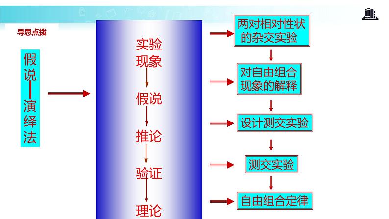 发现式教学【教学课件】《孟德尔的豌豆杂交实验（二）》（人教）04