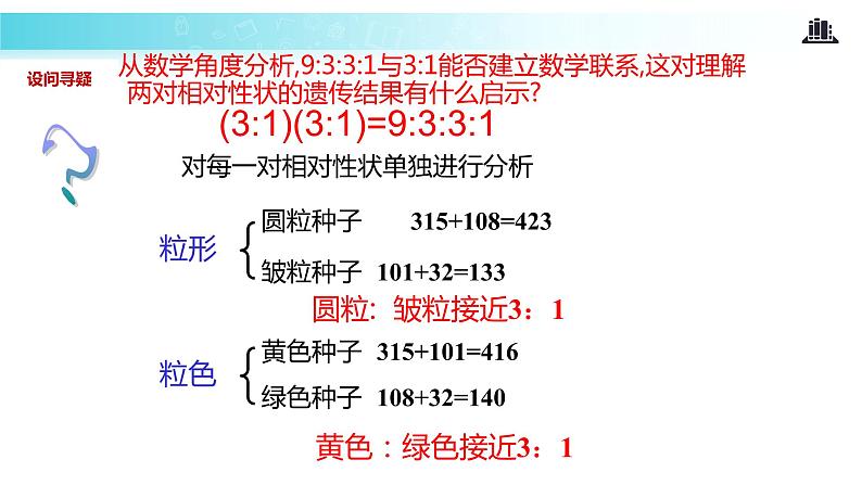 发现式教学【教学课件】《孟德尔的豌豆杂交实验（二）》（人教）第6页