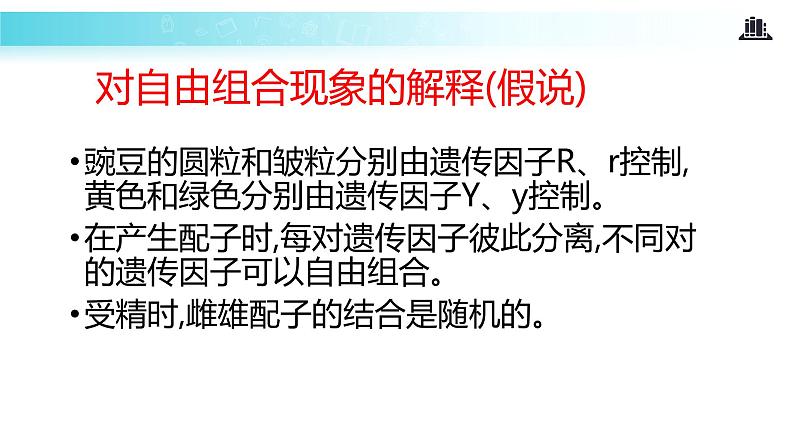 发现式教学【教学课件】《孟德尔的豌豆杂交实验（二）》（人教）07