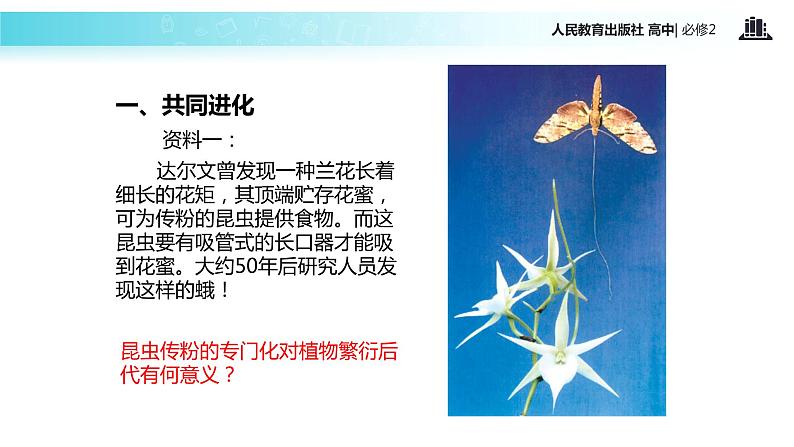 【教学课件】《共同进化与生物多样性的形成》（人教）02