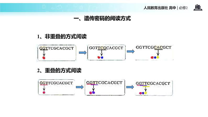 发现式教学【教学课件】《遗传密码的破译》（人教）07