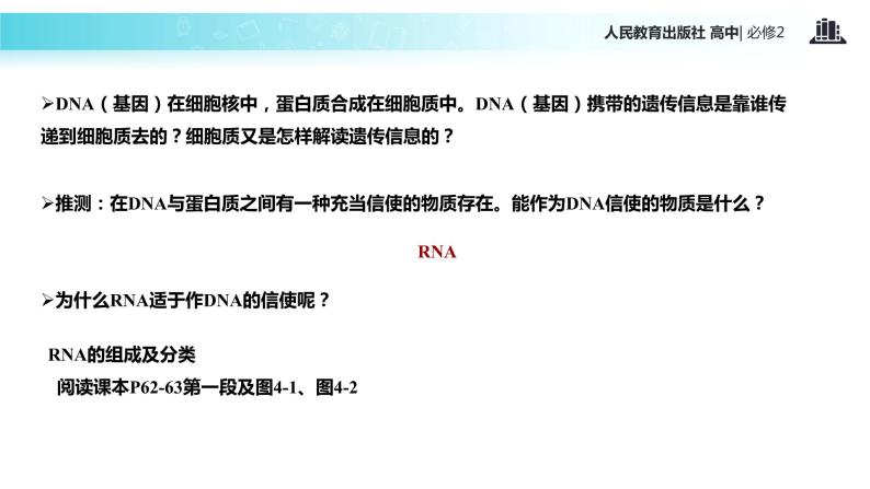 【教学课件】《基因指导蛋白质的合成》（人教）04