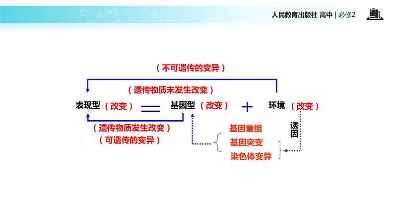 【教学课件】《基因突变和基因重组》（人教）第4页