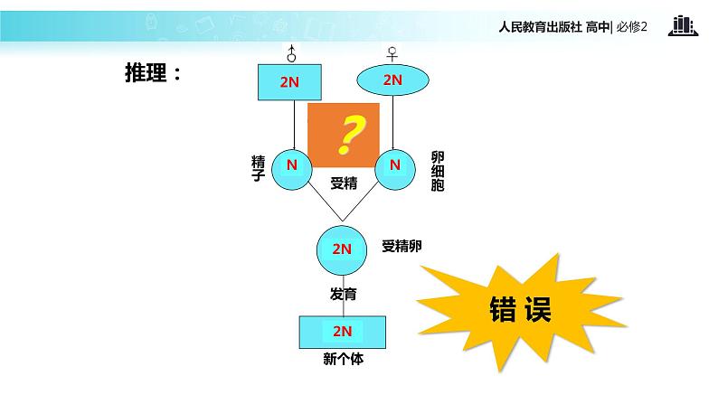 【教学课件】《减数分裂》（人教）第4页