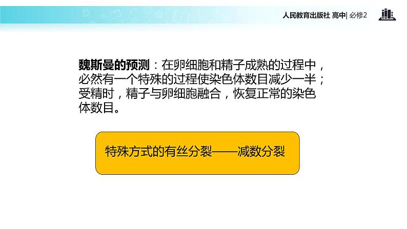 【教学课件】《减数分裂》（人教）第5页