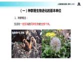 【教学课件】《种群基因频率的改变与生物进化》（人教）