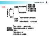 发现式教学【教学课件】《人类遗传病》（人教） (1)