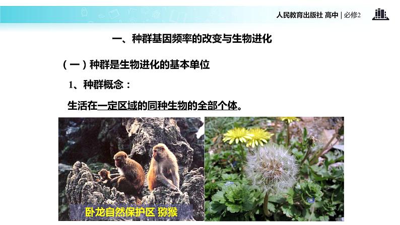 发现式教学【教学课件】《现代生物进化理论的主要内容》（人教）第5页