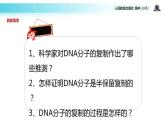 发现式教学【教学课件】《DNA的复制》（人教）