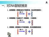 发现式教学【教学课件】《DNA的复制》（人教）