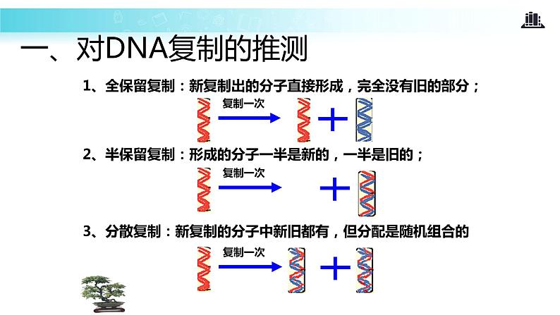 发现式教学【教学课件】《DNA的复制》（人教）05