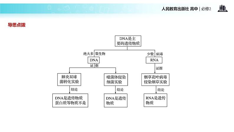 发现式教学【教学课件】《DNA是主要的遗传物质》（人教）04