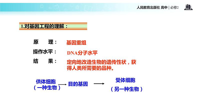 发现式教学【教学课件】《基因工程及其应用》（人教）07