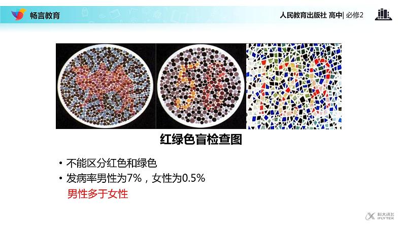 【教学课件】《伴性遗传》（人教）02