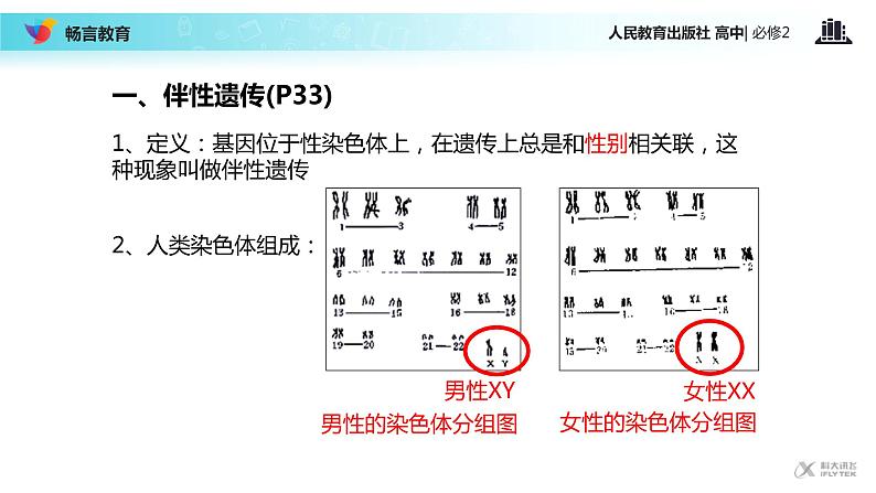 【教学课件】《伴性遗传》（人教）05