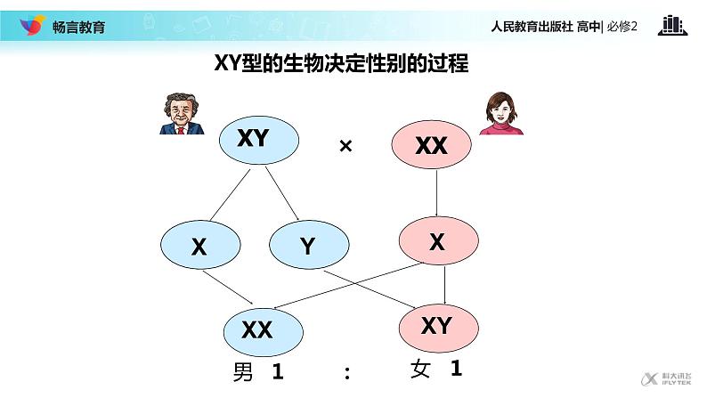 【教学课件】《伴性遗传》（人教）06