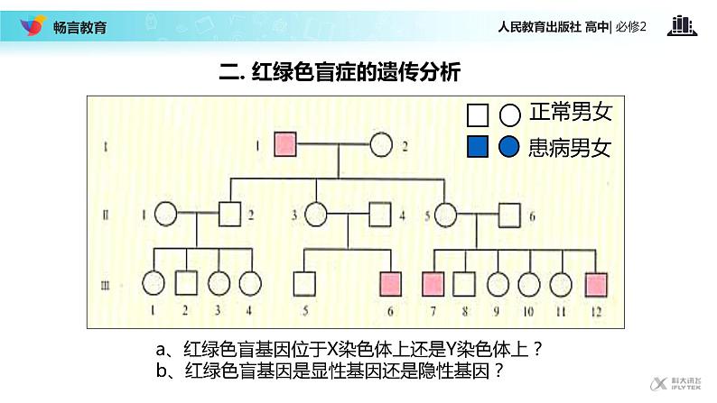 【教学课件】《伴性遗传》（人教）07