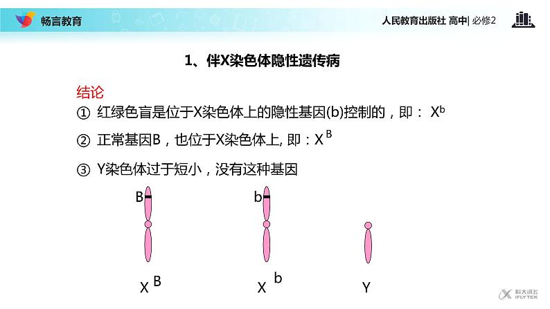 【教学课件】《伴性遗传》（人教）08