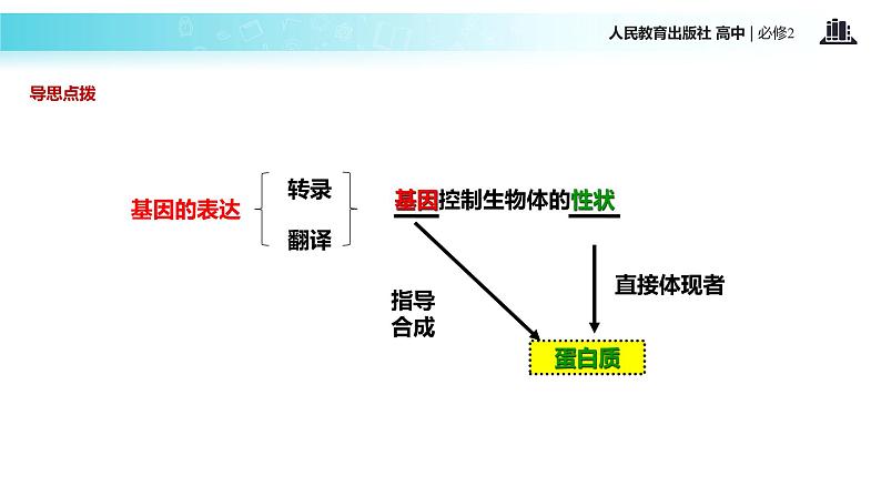 发现式教学【教学课件】《基因指导蛋白质的合成》（人教） (1)05