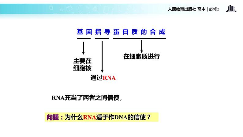 发现式教学【教学课件】《基因指导蛋白质的合成》（人教） (1)07