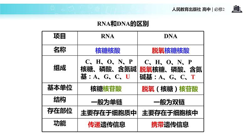 发现式教学【教学课件】《基因指导蛋白质的合成》（人教） (1)08