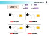 【教学课件】《DNA分子的结构》（人教）