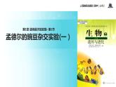 【教学课件】《孟德尔的豌豆杂交实验一）》（人教）