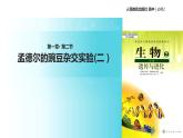 【教学课件】《孟德尔的豌豆杂交实验二）》（人教）