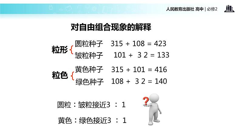 【教学课件】《孟德尔的豌豆杂交实验二）》（人教）03