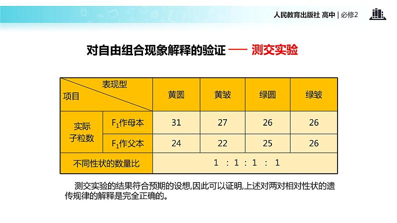 【教学课件】《孟德尔的豌豆杂交实验二）》（人教）06