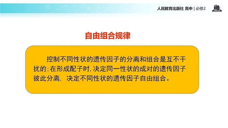 【教学课件】《孟德尔的豌豆杂交实验二）》（人教）07