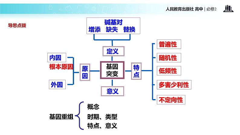 发现式教学【教学课件】《基因突变和基因重组》（人教）第4页