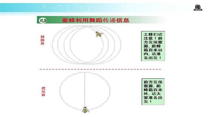 【教学课件】《生态系统的信息传递》（人教）02