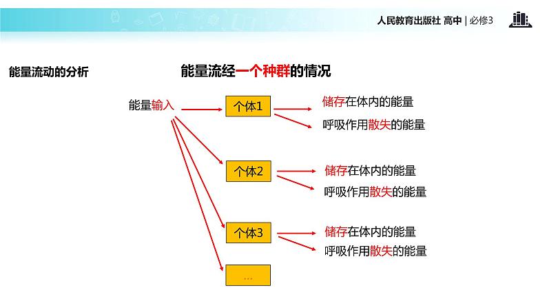 【教学课件】《生态系统的能量流动》（人教）05