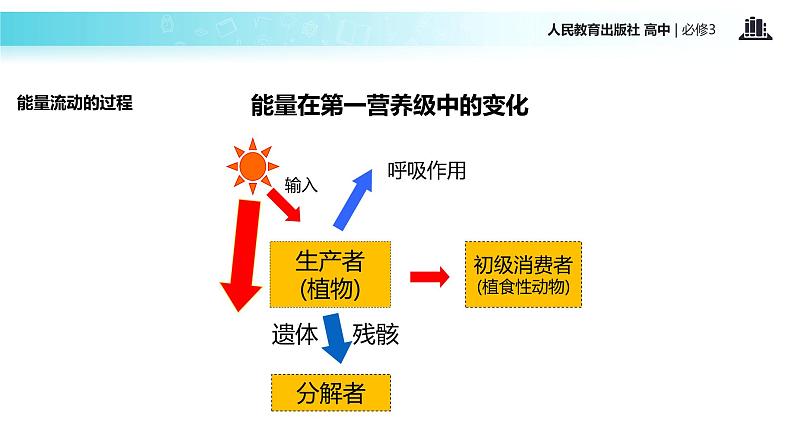 【教学课件】《生态系统的能量流动》（人教）08