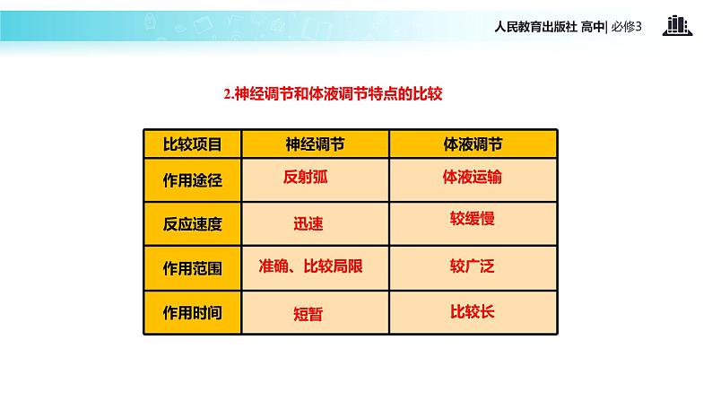 【教学课件】《神经调节与体液调节的关系》（人教）05