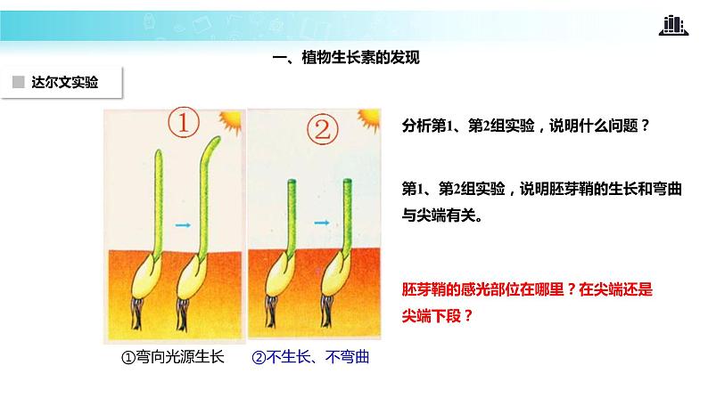 【教学课件】《植物生长素的发现》（人教）06