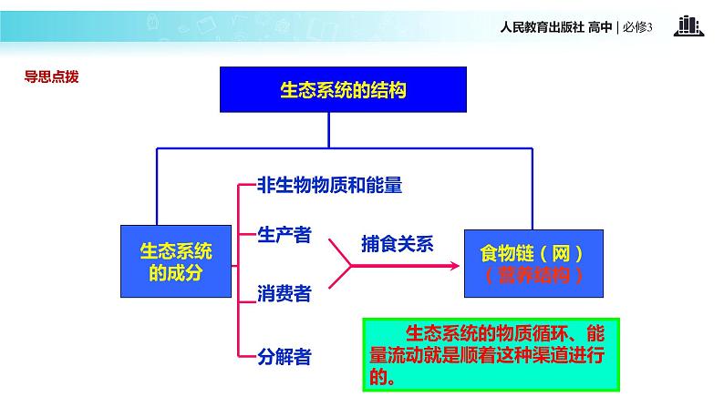 发现式教学【教学课件】《生态系统的结构》（人教）04