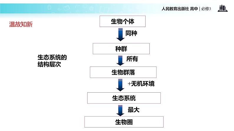 发现式教学【教学课件】《生态系统的结构》（人教）05