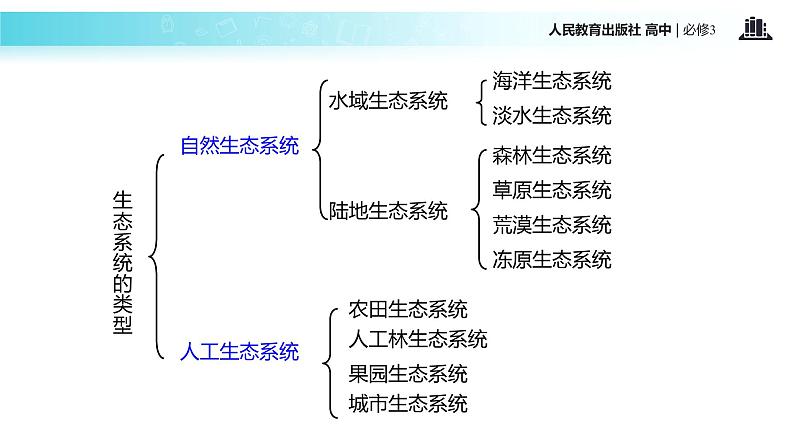 发现式教学【教学课件】《生态系统的结构》（人教）08