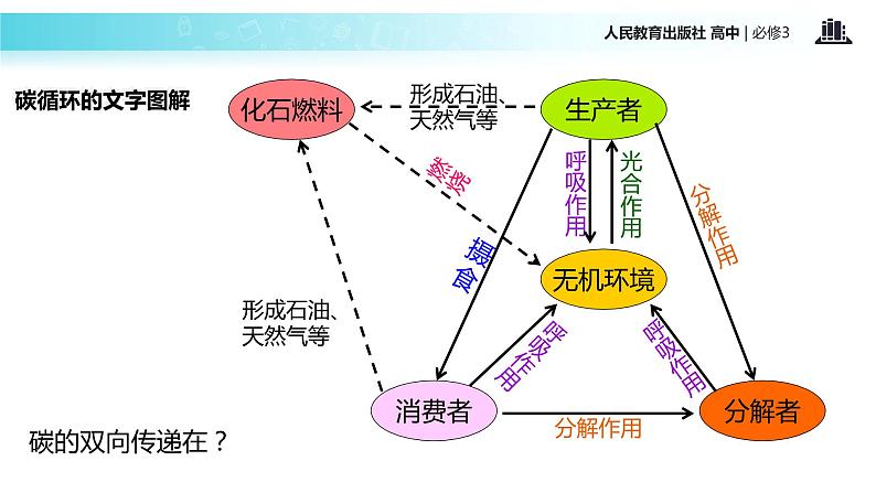 【教学课件】《生态系统的物质循环》（人教）07